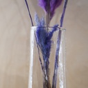 O10-29  فازة شفافة طويلة