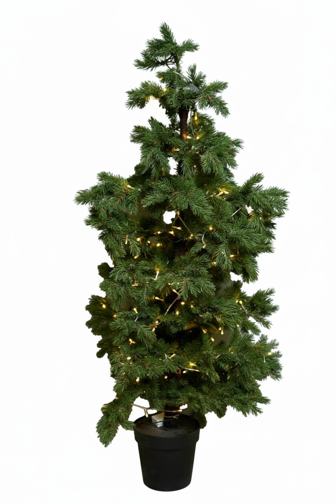 OCH-247-13 شجرة خضراء بانارة/سندادنة