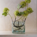 O10-38 فازة شفافة مستطيلة ملونة