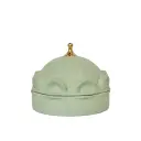 Seen3-03 مقدمة غطاء اقواس اخضر