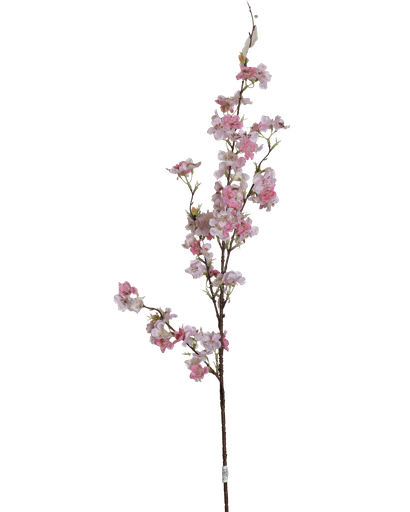 O1-12 غصن ساكورا ناعم قصير