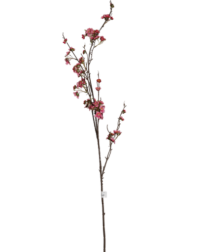 O1-14 غصن ساكورا ناعم طويل