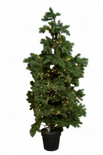 OCH-247-13 شجرة خضراء بانارة/سندادنة