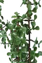 Gemini_Generated_Image_st0xbsst0xbsst0x.webp