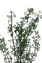 Gemini_Generated_Image_4mebvu4mebvu4meb.webp