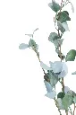 Gemini_Generated_Image_wwhr1ywwhr1ywwhr.webp