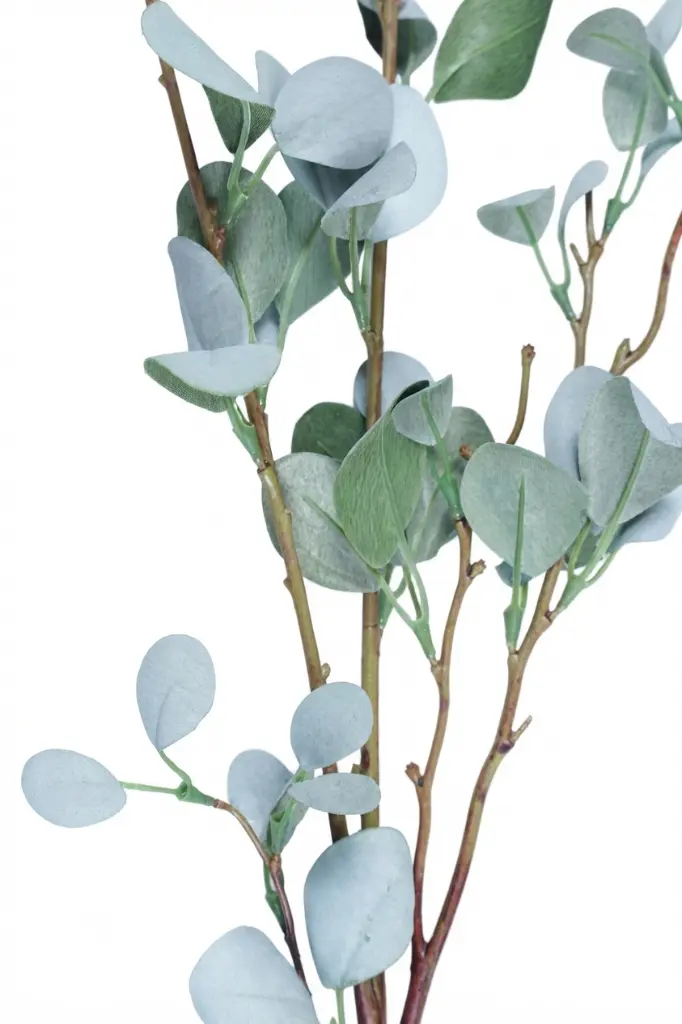 Gemini_Generated_Image_val0h8val0h8val0.webp