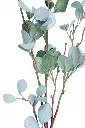 Gemini_Generated_Image_val0h8val0h8val0.webp