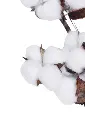 Gemini_Generated_Image_s2av81s2av81s2av.webp