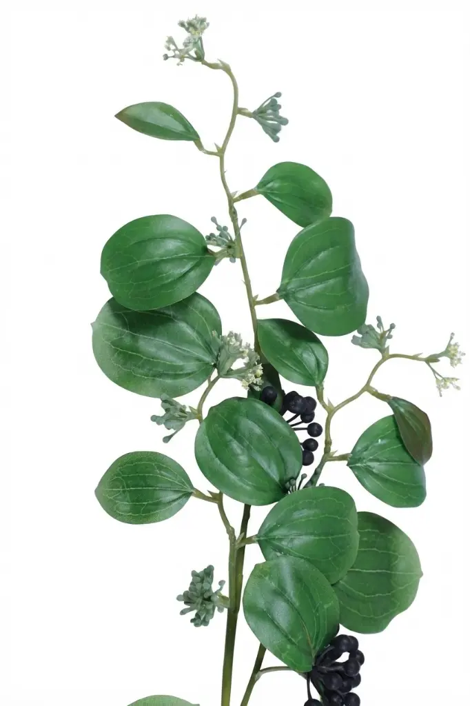 Gemini_Generated_Image_6eu2w26eu2w26eu2.webp
