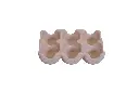 Gemini_Generated_Image_sq614gsq614gsq61.webp