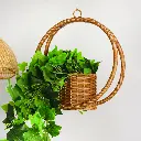Basket 03_0009_IMG_2517.webp