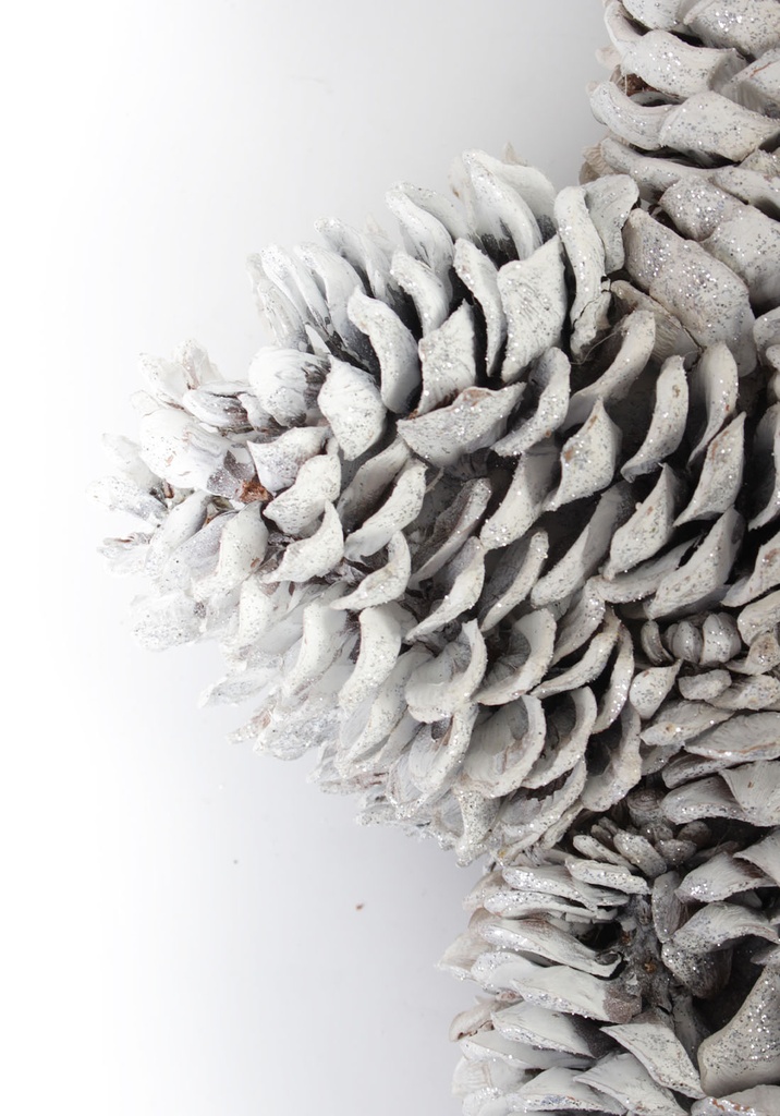 تعليقة نجمة M-CH459