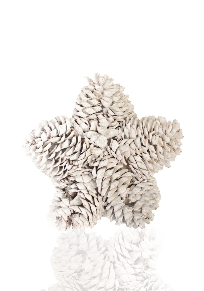 تعليقة نجمة M-CH459