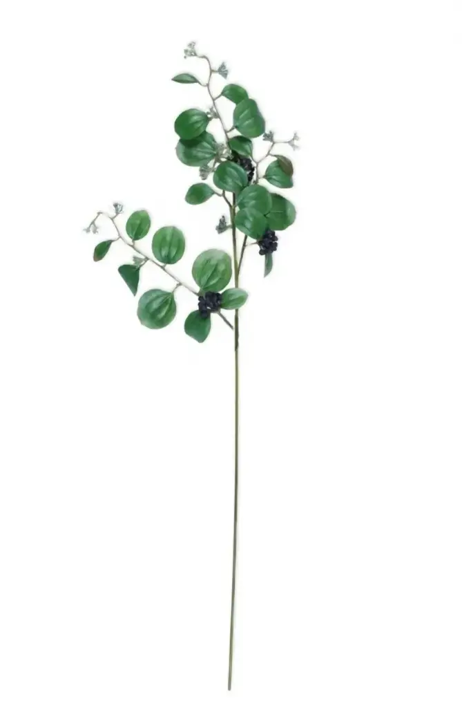 M-96-63 china root ثمر اسود