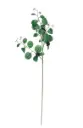 M-96-63 china root ثمر اسود