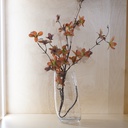 O10-28  فازة شفافة مائلة