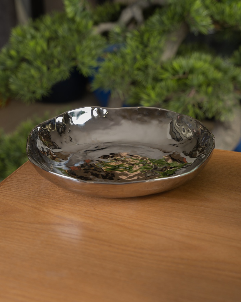 O10-75/76 صحن معدني