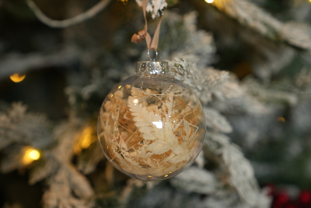 Bloom-15 كرات شفافة بنباتات مجففة