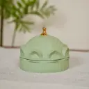 Seen3-03 مقدمة غطاء اقواس اخضر