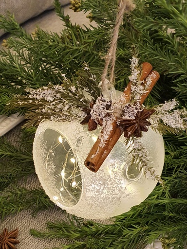 Bloom-14 سيت كرة تعليق ثلجي