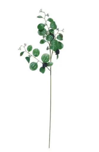 M-96-63 china root ثمر اسود