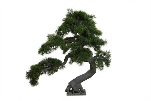 O2-10 شجرة البونساي